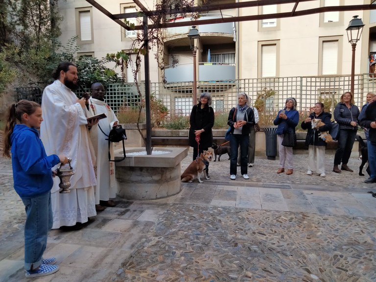 benediction-des-animaux-a-carcassonne